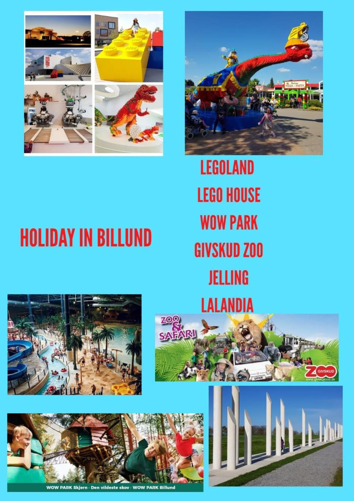5 Minute Walk To Lego House - 50M2 Cozy Apartment- D Unit Билунд Екстериор снимка